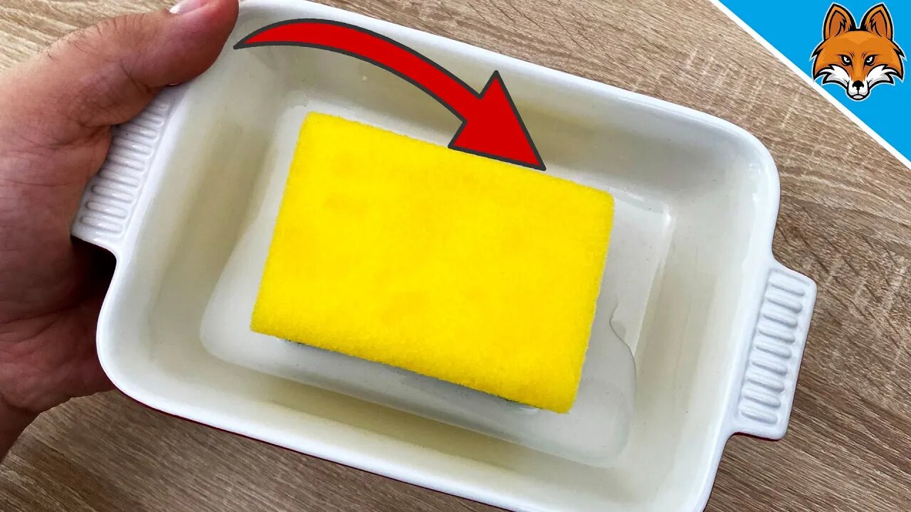 THEREFORE you should put a Bowl with a Sponge in your Apartment 💥 (GENIUS) 🤯