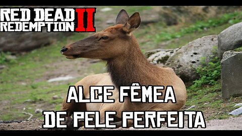 Como encontrar pele de alce perfeita em RDR2