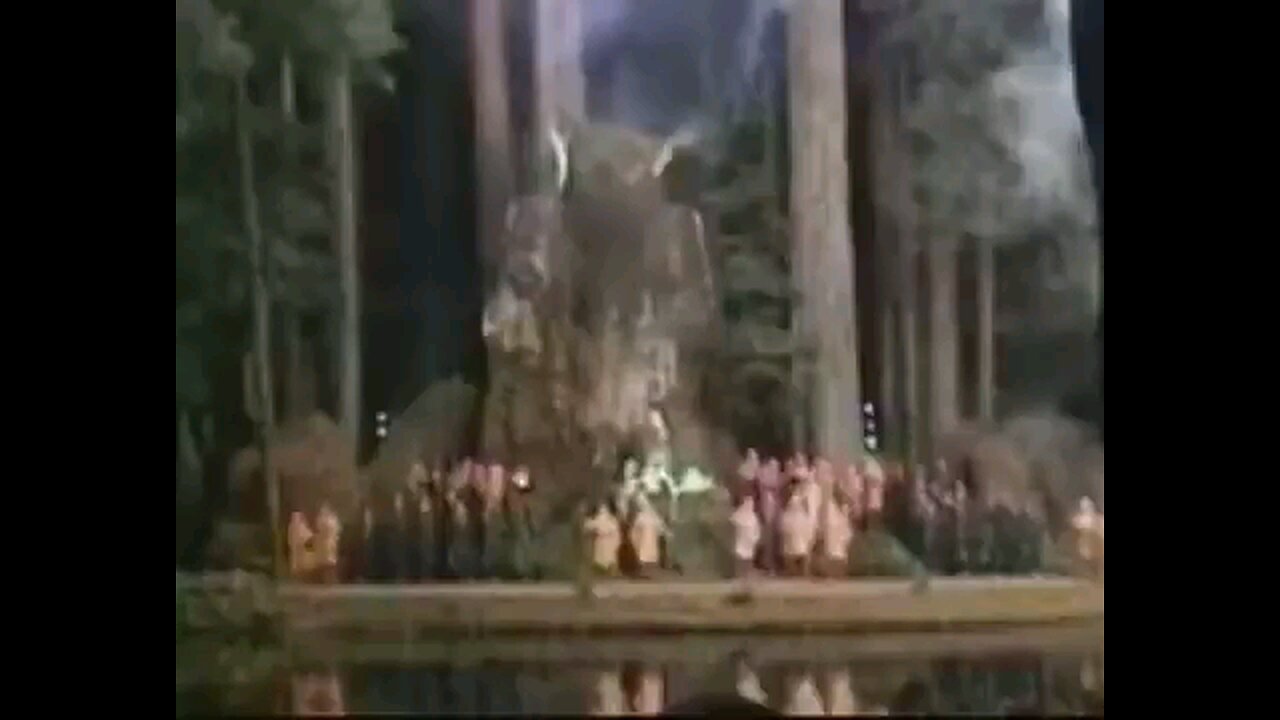 Red Wood Forest Bohemian Grove