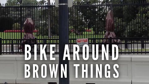 Biking around the brown things at the White House before a bomb scare at the zoo