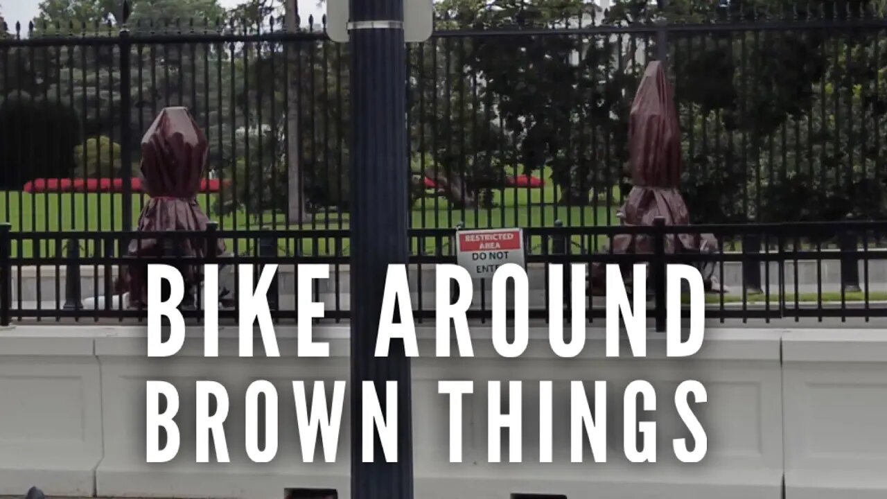 Biking around the brown things at the White House before a bomb scare at the zoo