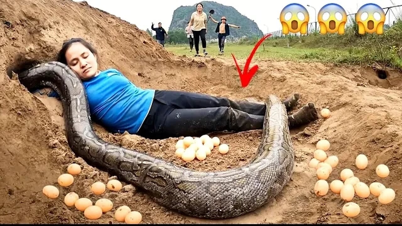 IMPOSSIBLE! Giant SNAKE Lay Eggs Hunters Saving Girl | MIKE FISHING.