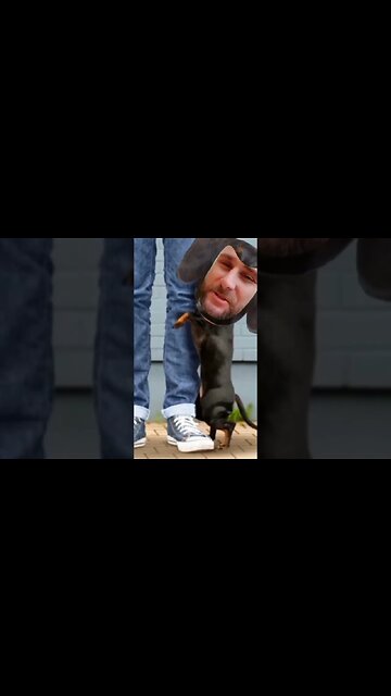 quit humping are legs @IamMoKoN #bigweenie #67 #savechevy #fuqmokon