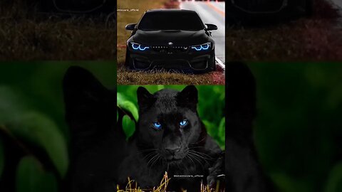 Super cars🚘 vs animals😎 #shorts