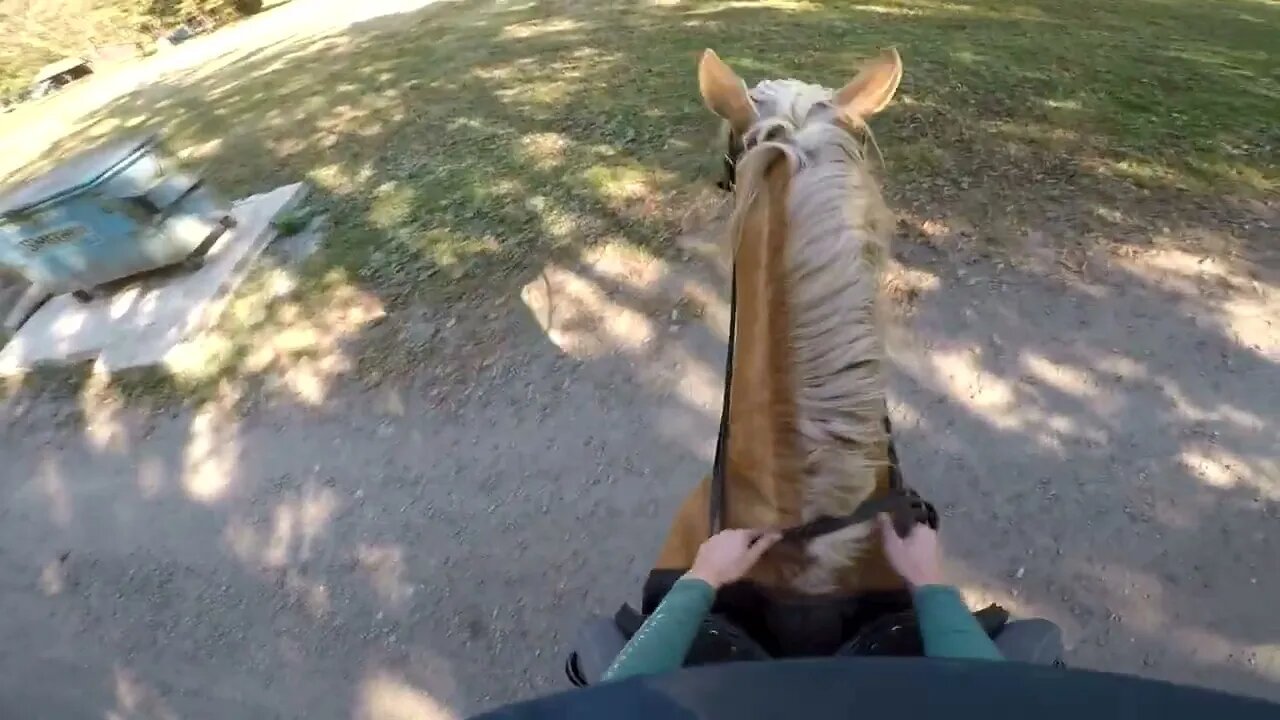 TAKING A GREEN STALLION FOR A TRAIL RIDE | GO PRO