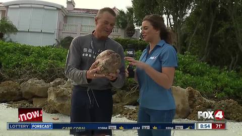 Sanibel Sea School teaches importance of marine life in Southwest Florida - 8:30am report