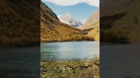 Nature will provide healing. #shorts #outdoors #nature
