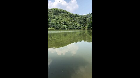 Lake and fish