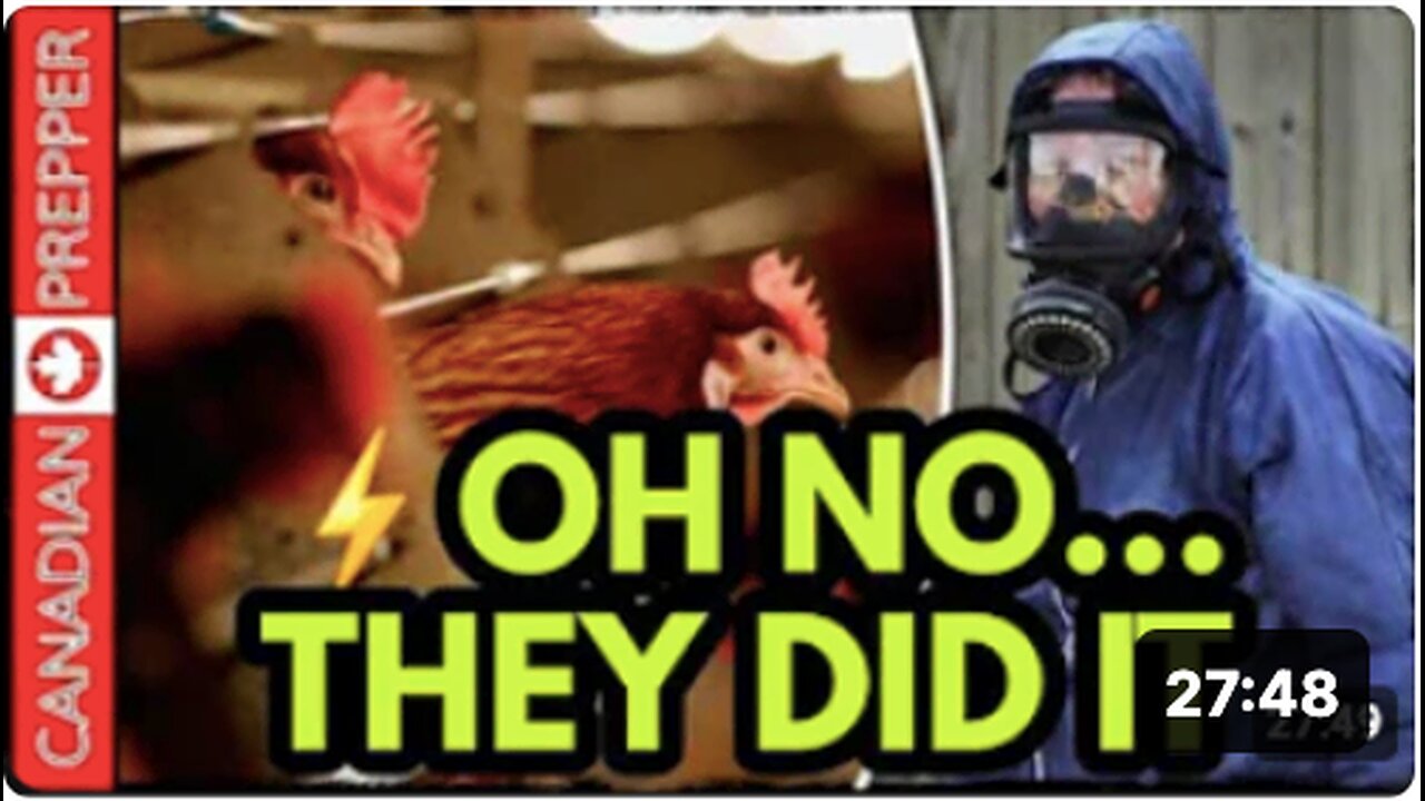 ⚡ALERT: H5N2 BIRD FLU INFECTED AND KILLED 1 PERSON, MYSTERIOUS ORIGIN, LEBANON WAR BEGINS