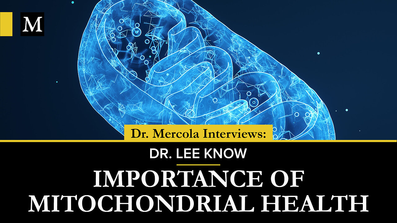 Importance of Mitochondrial Health – Interview With Dr. Lee Know