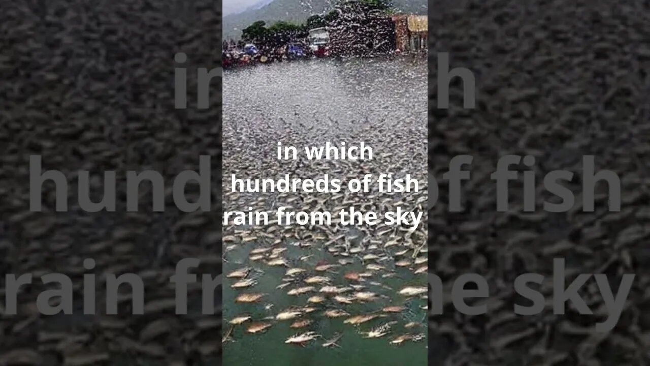 Rain of fish” #shorts