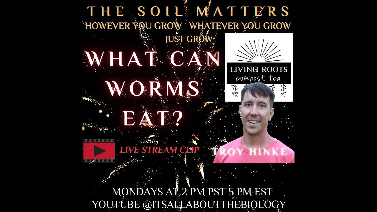 What Can Worms Eat?