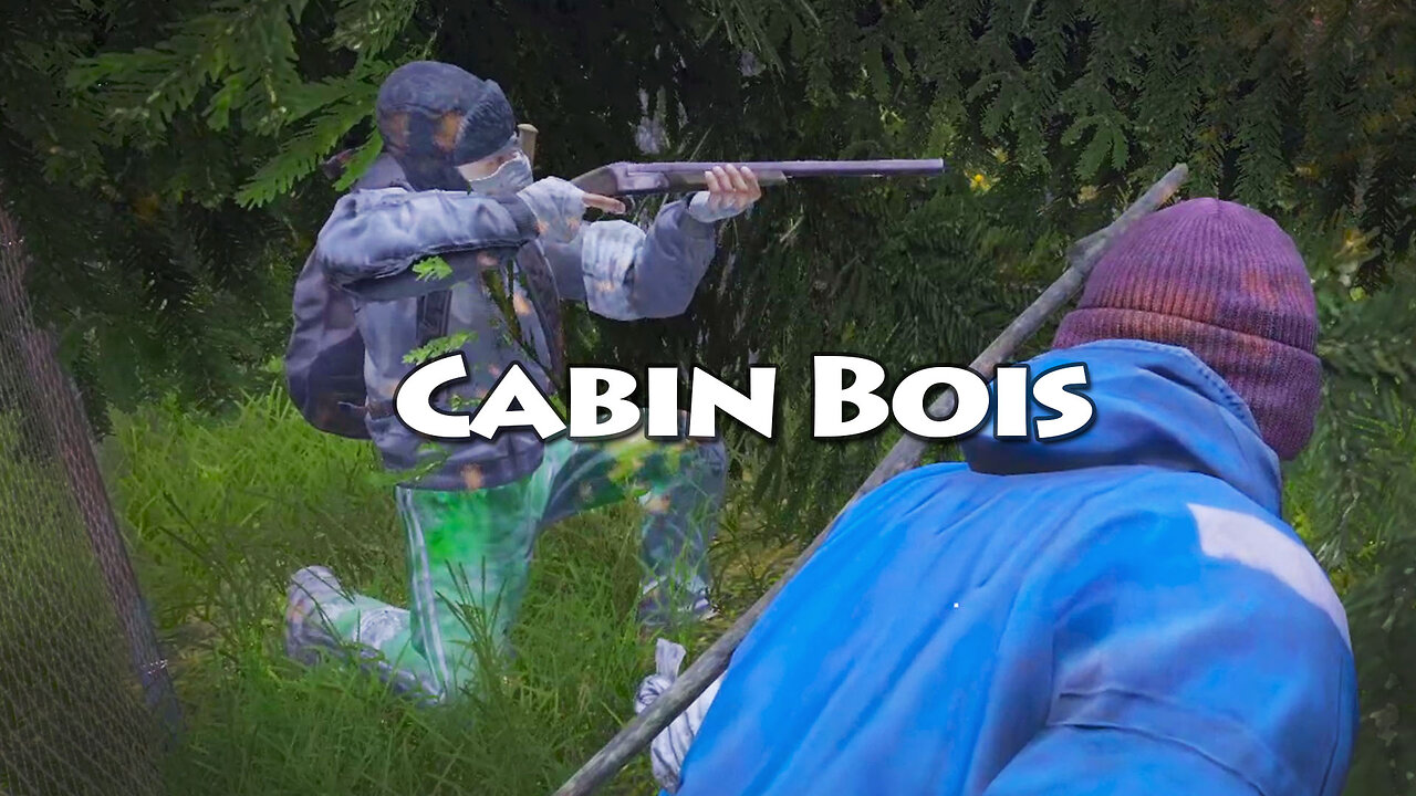 DayZ Cabin Bois