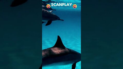 ao vivo no fundo do mar 🐬 🐬 🐬 🐬 @ScanPlay 😋 21/12/2022 ⬇️