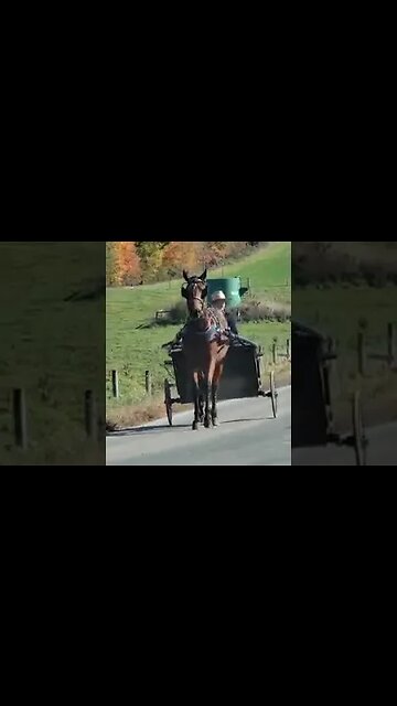 Amish Boy Driving Horse