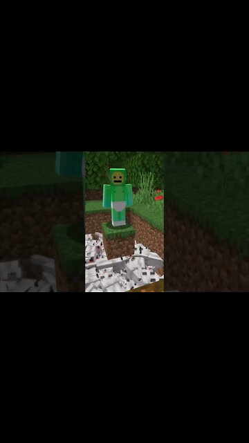 Minecraft / Майнкрафт #tiktok #Shorts