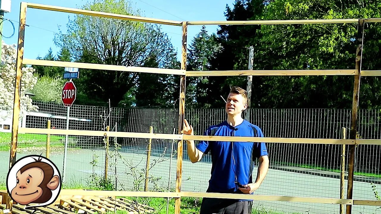 Building a Bean Arbor