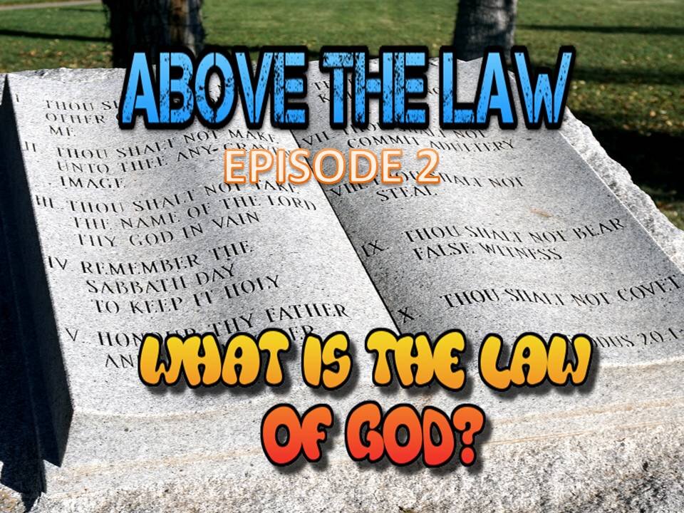 Above the Law episode 2(The Law)