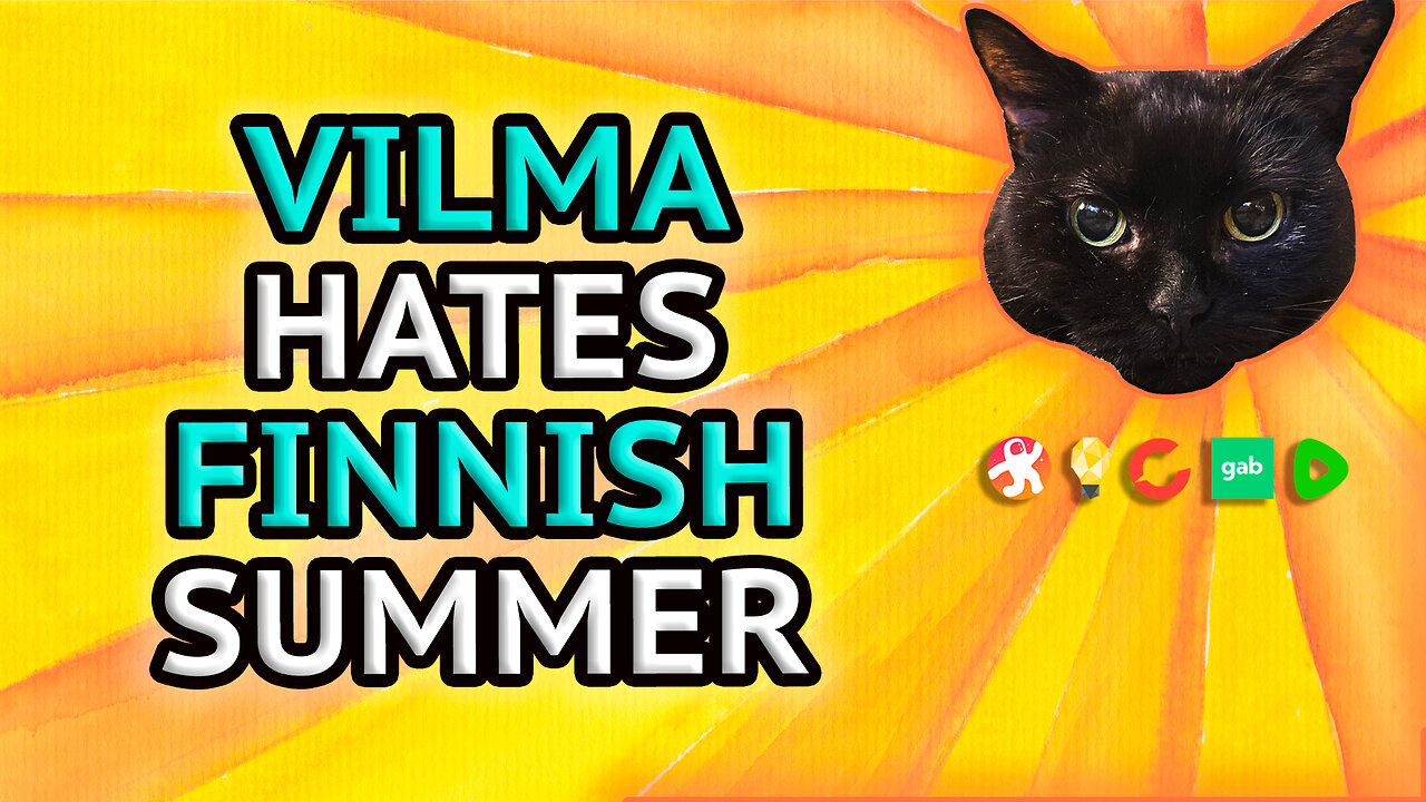 Vilma Cat Is Angry Because The Weather Is Too Hot