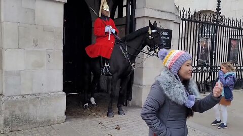horse likes every one 2 November 2022 #horseguardsparade