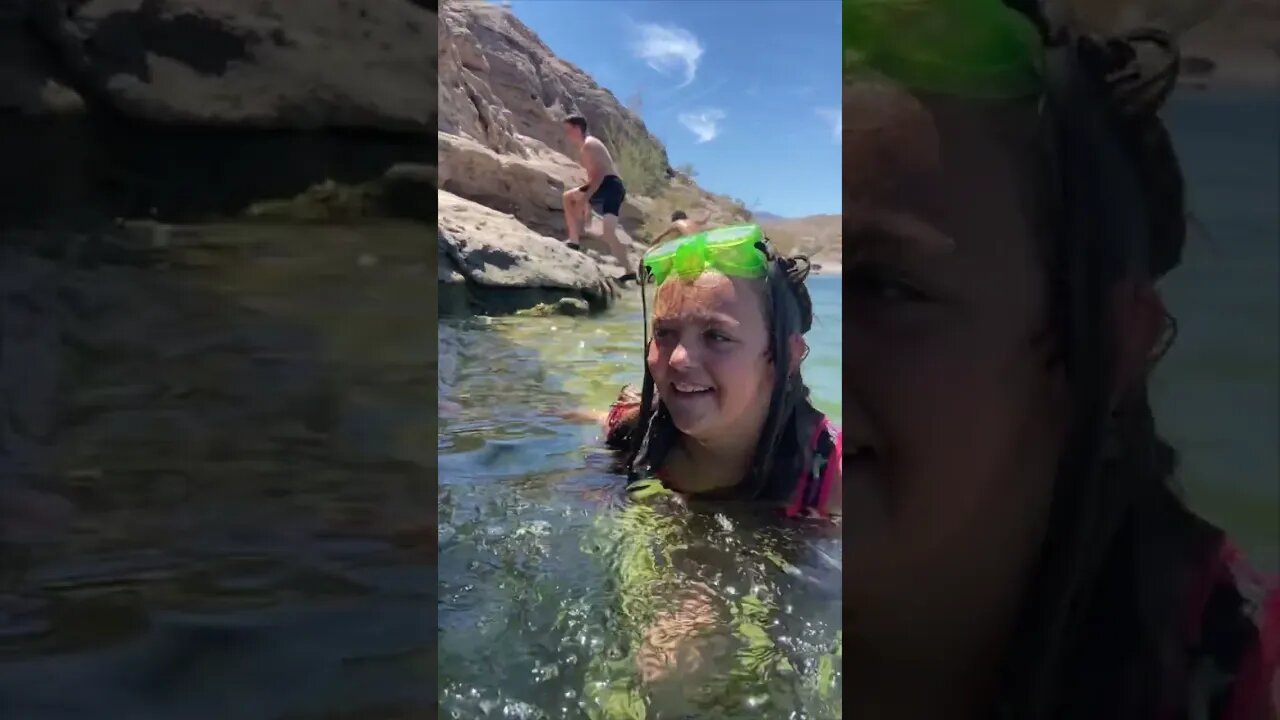 Day of Cliff Jumping by Las Vegas with My Family #cliffjumping #lasvegas #dadlife