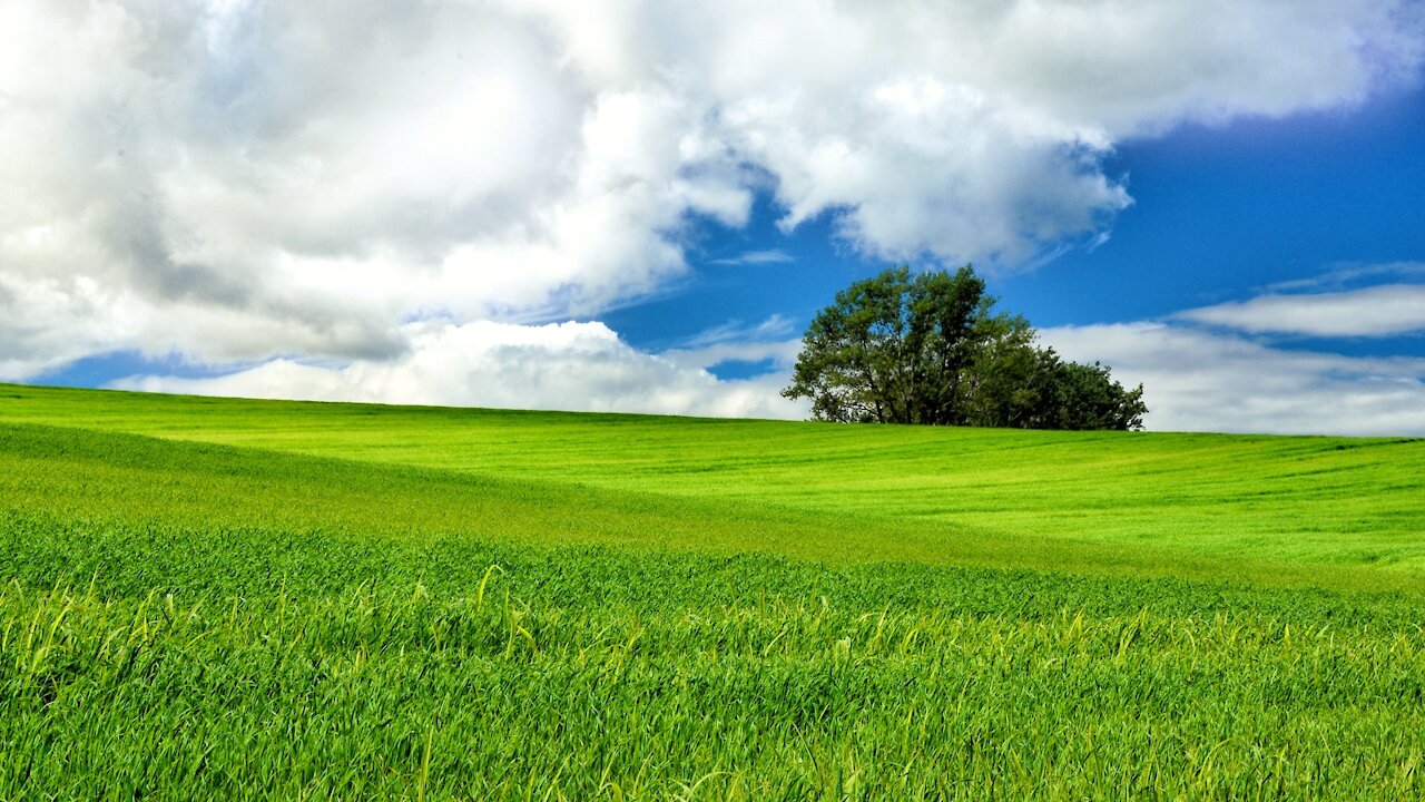 笑って暮らして Smile Life