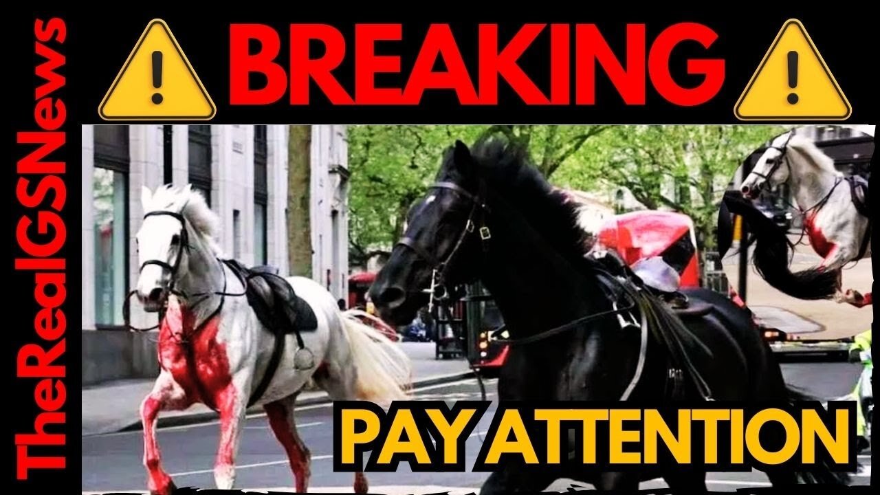 BREAKING: ALARMING! - VIDA & QUAKER ALERT [ PAY ATTENTION ]