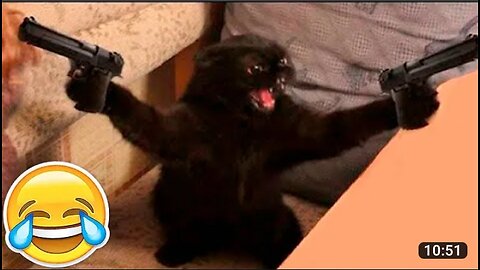 New Funny Animals 😂 Funniest Cats and Dogs Videos 😺🐶