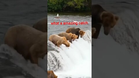 What a amazing catch 👏