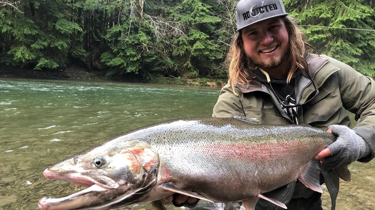 Multiple 20 Lb STEELHEAD Landed River Fishing! | Addicted Life Ep. #25