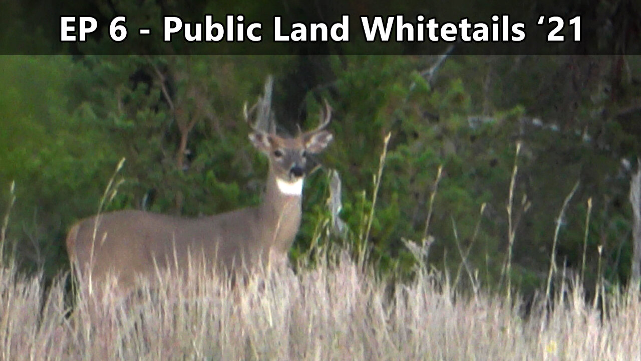 Back In The Saddle Again! - Public Land Whitetails