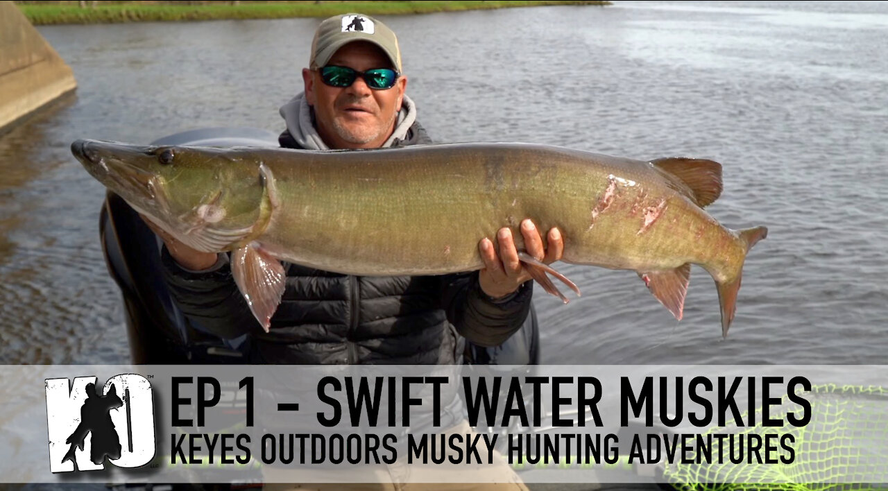 Swift Water Muskies - Keyes Outdoors Musky Hunting Adventures