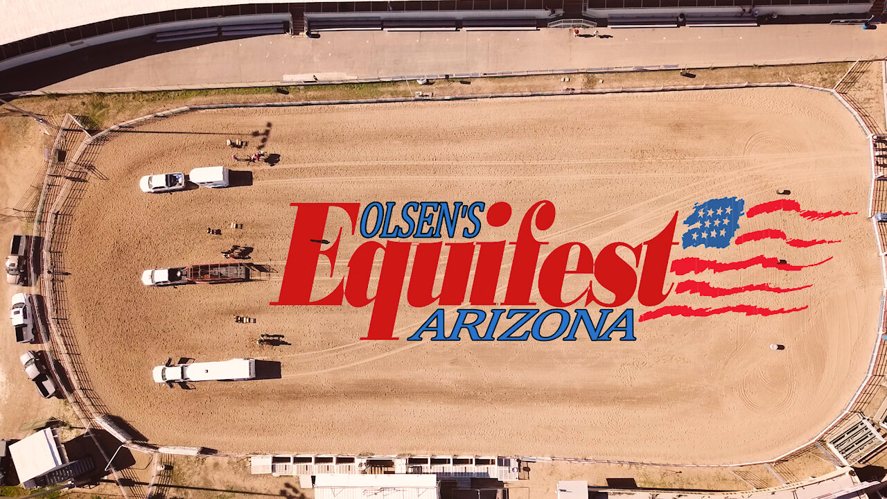 Olsen's Grain's Equifest