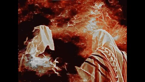 Dr. Dan Stock Specialist in Immunology & Inflammation