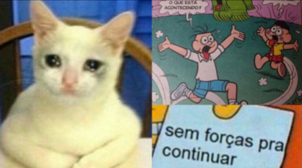 memes em imagens para STATUS