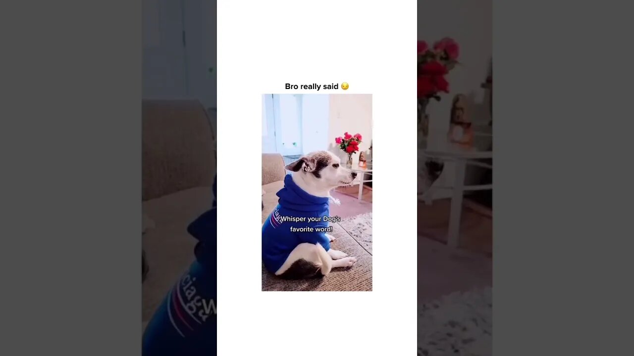 The smile