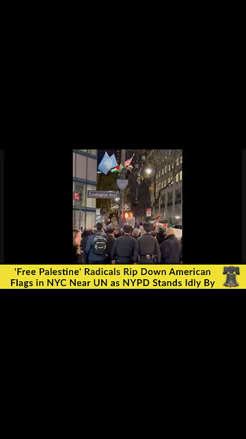'Free Palestine' Radicals Rip Down American Flags in NYC Near UN as NYPD Stands Idly By