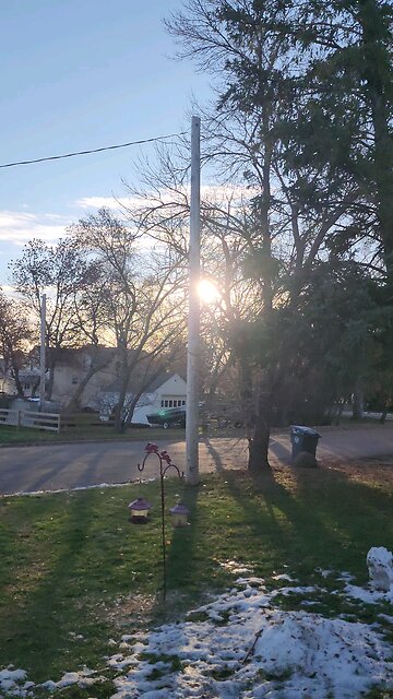 time to feed the squirrels