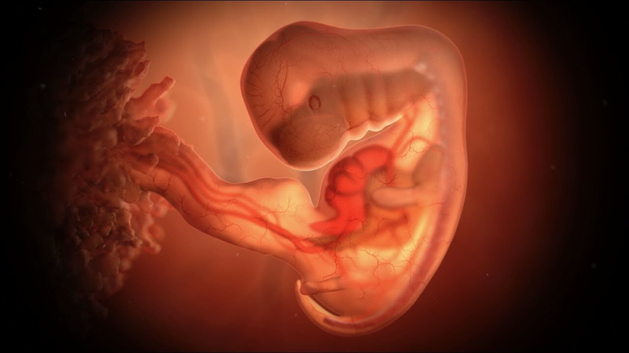 Protecting Babies With Heartbeats From Abortion