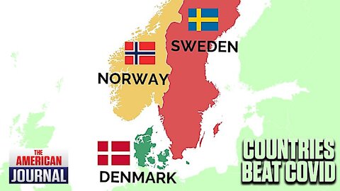 These Nations Beat Covid. Here’s How....