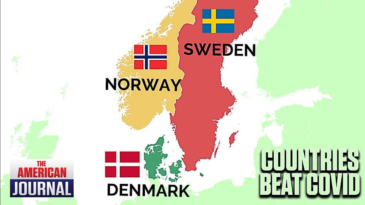 These Nations Beat Covid. Here’s How....