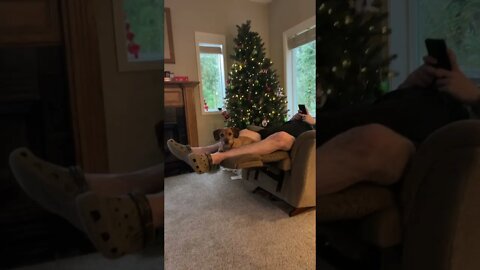 Norman Julius is jealous ;)