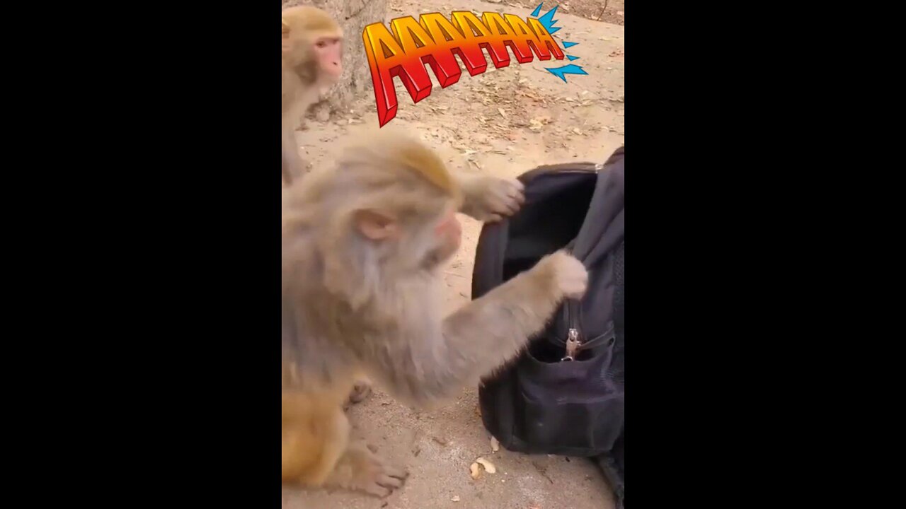 🤣🤣🤣😂
