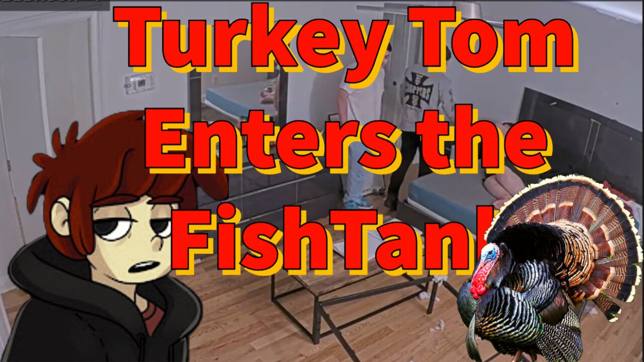 Turkey Tom Enters the FishTank