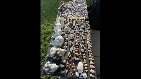 Beach Finds 11/8/2024 | 4K