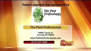 The Plant Professionals - 8/13/20