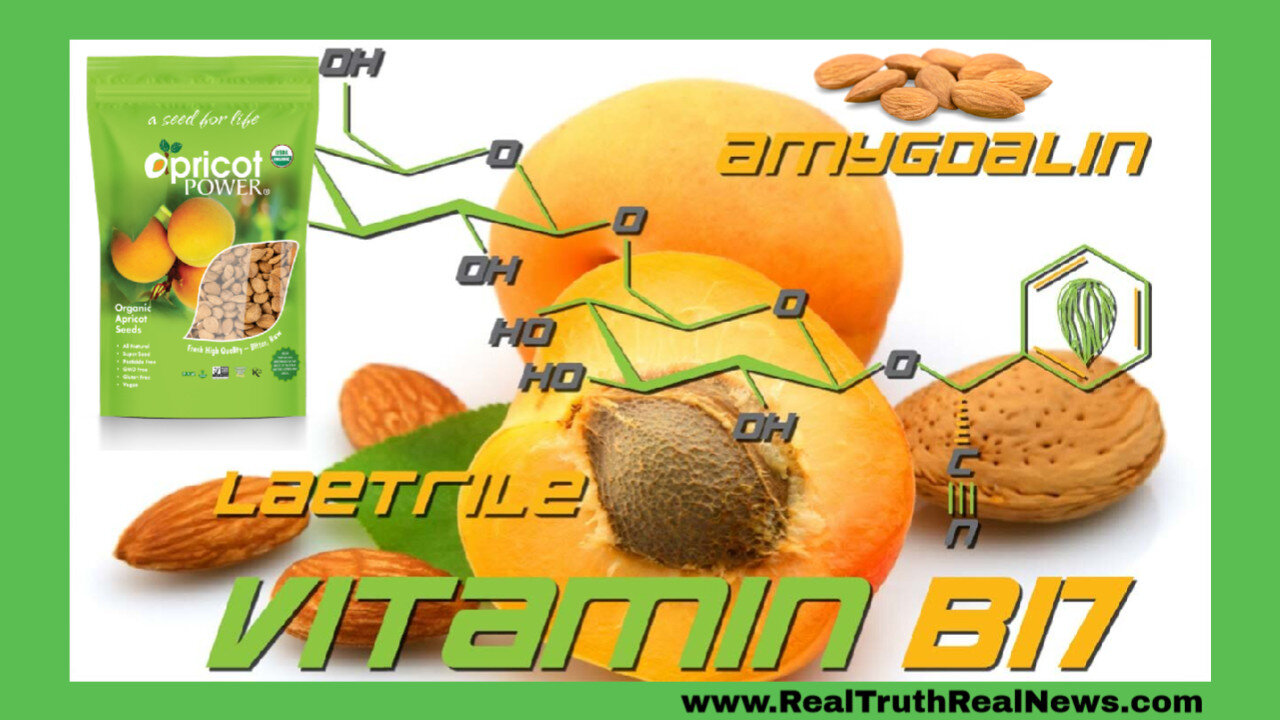 🍑 Vitamin B17/Apricot Seeds: God's Powerful Cancer Fighter That Big Pharma Doesn't Want You To Know About * Links 👇