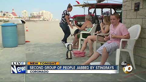 12 more people stung by stingrays in Coronado