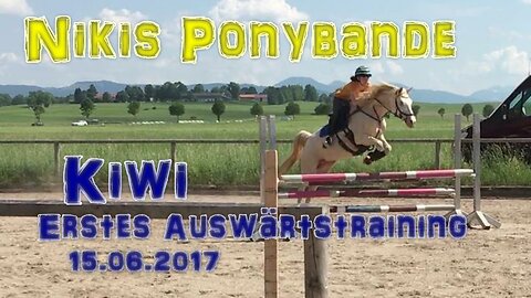 nikis_ponybande: Showjumping training with Kiwi - first time outwards - german explanation