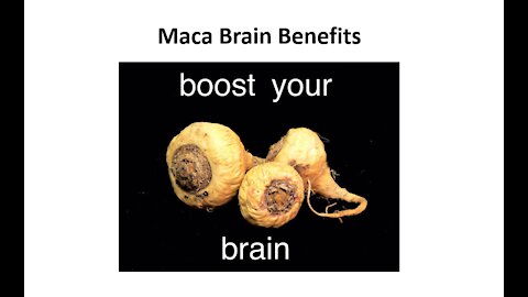 Maca Brain Benefits